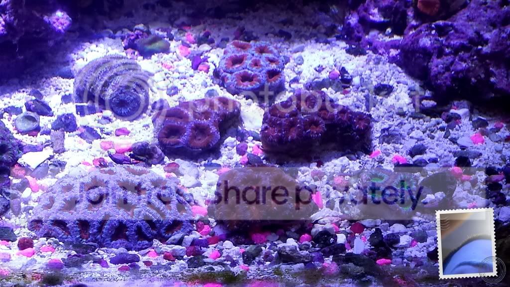 20131016_140402.jpg
