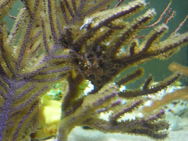 DSCN2315.jpg