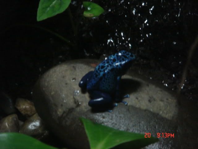 DSC01446.jpg