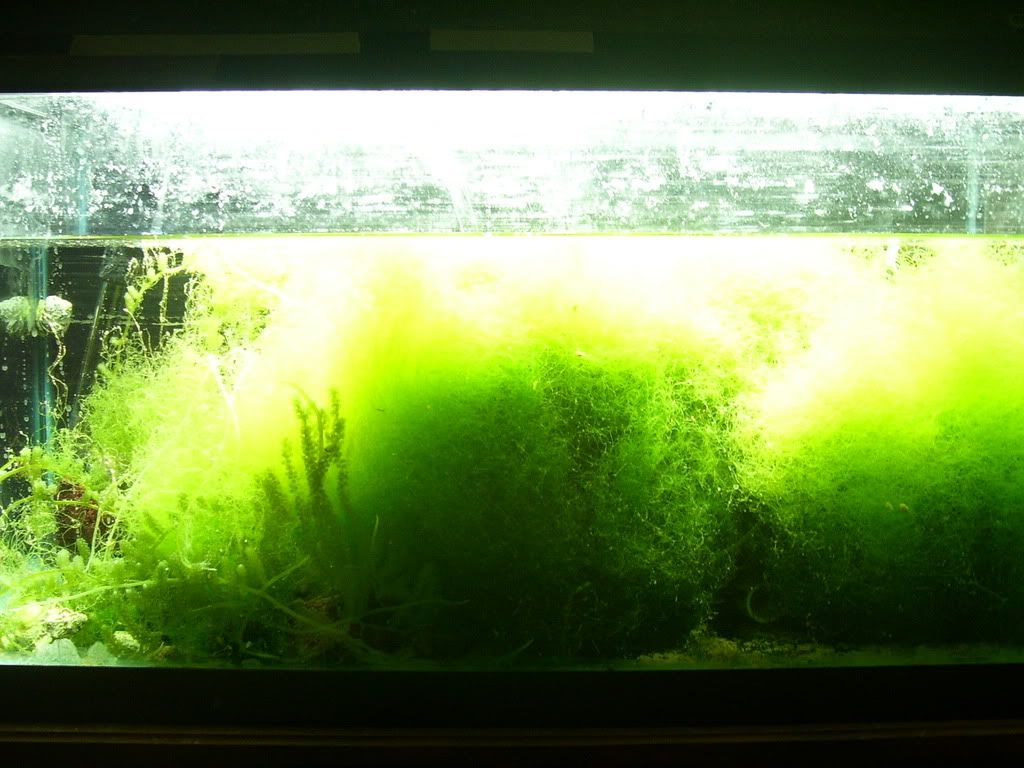 100_2157.jpg