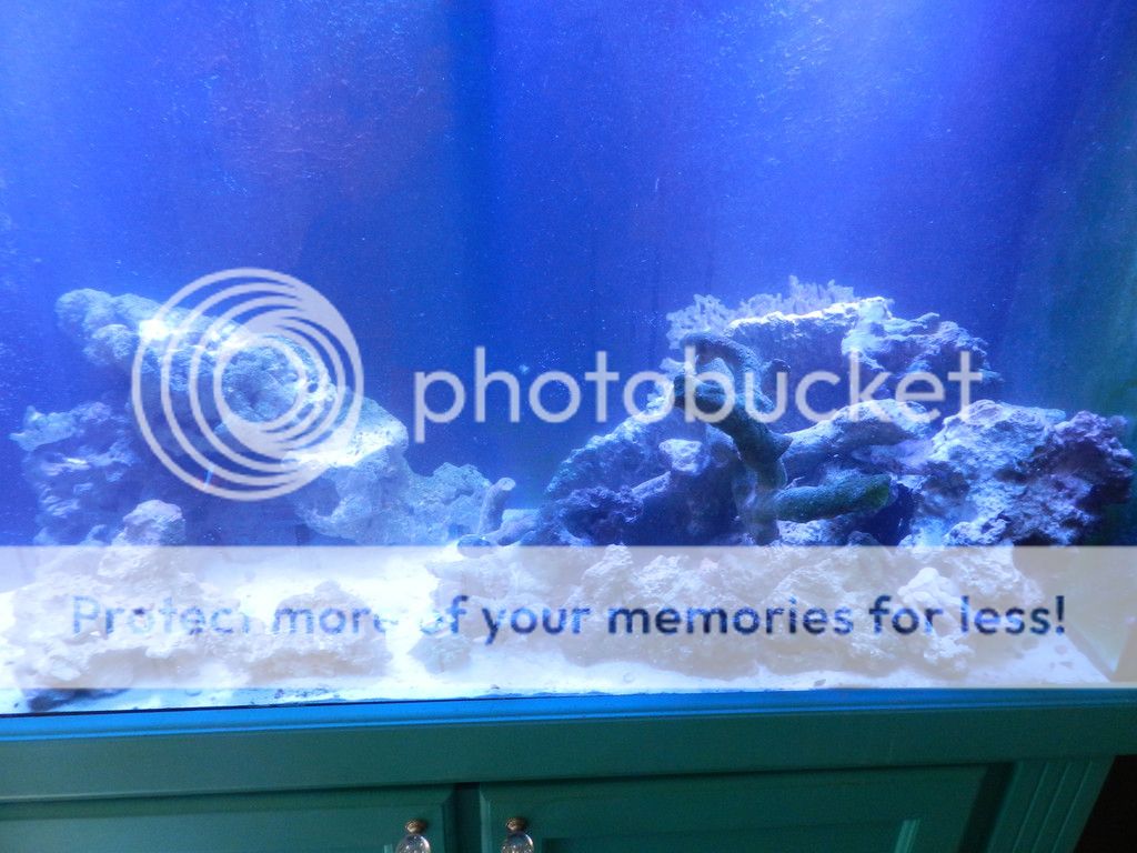 DSCN8453.jpg