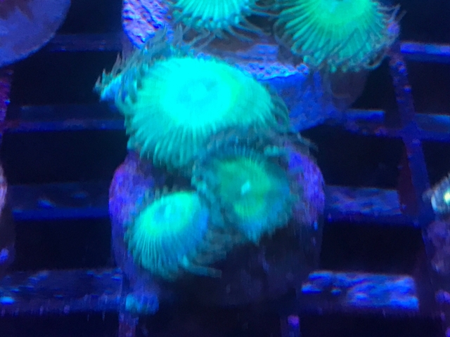 c9f4bcc21b32c3b9c0d9776d96f454c8.jpg