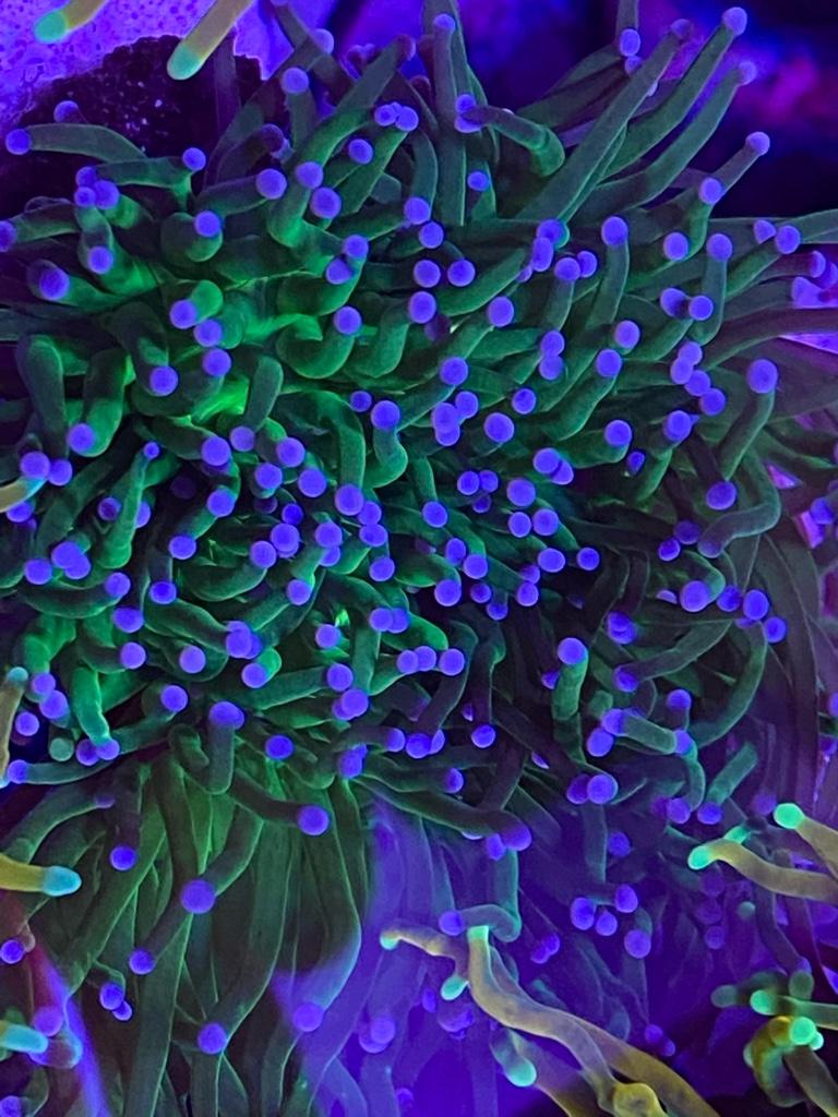 14c65c327f174e05c79a13c2bce56dfd.jpg