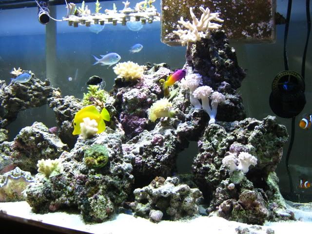 IMG_0472.jpg