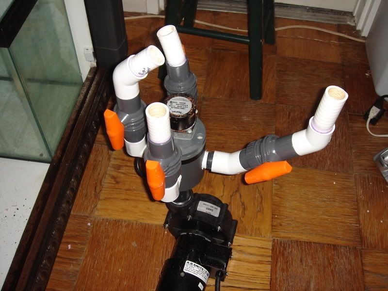2008_0308100g-square0010.jpg