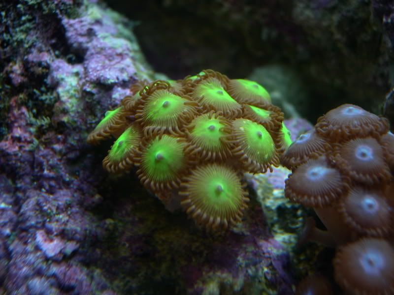 DSCN4157.jpg