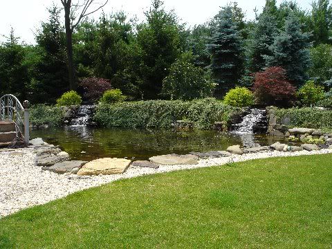 POND6.jpg