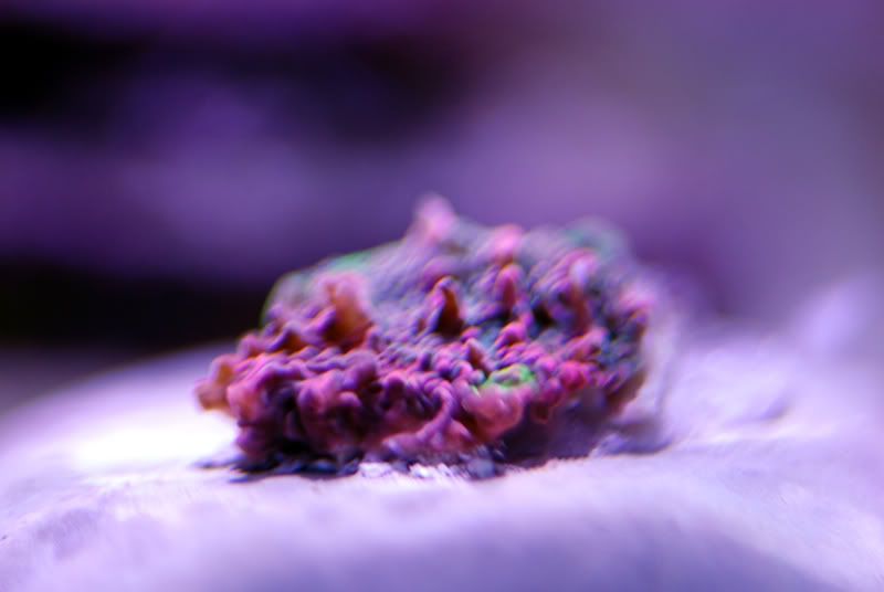 DSC_0127_edited.jpg