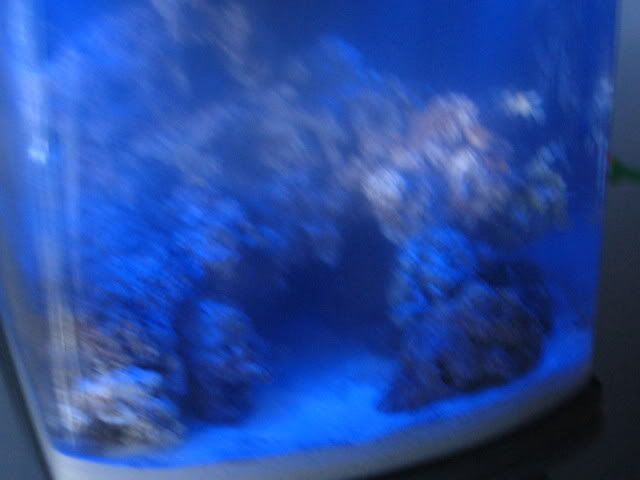 IMG_1049.jpg