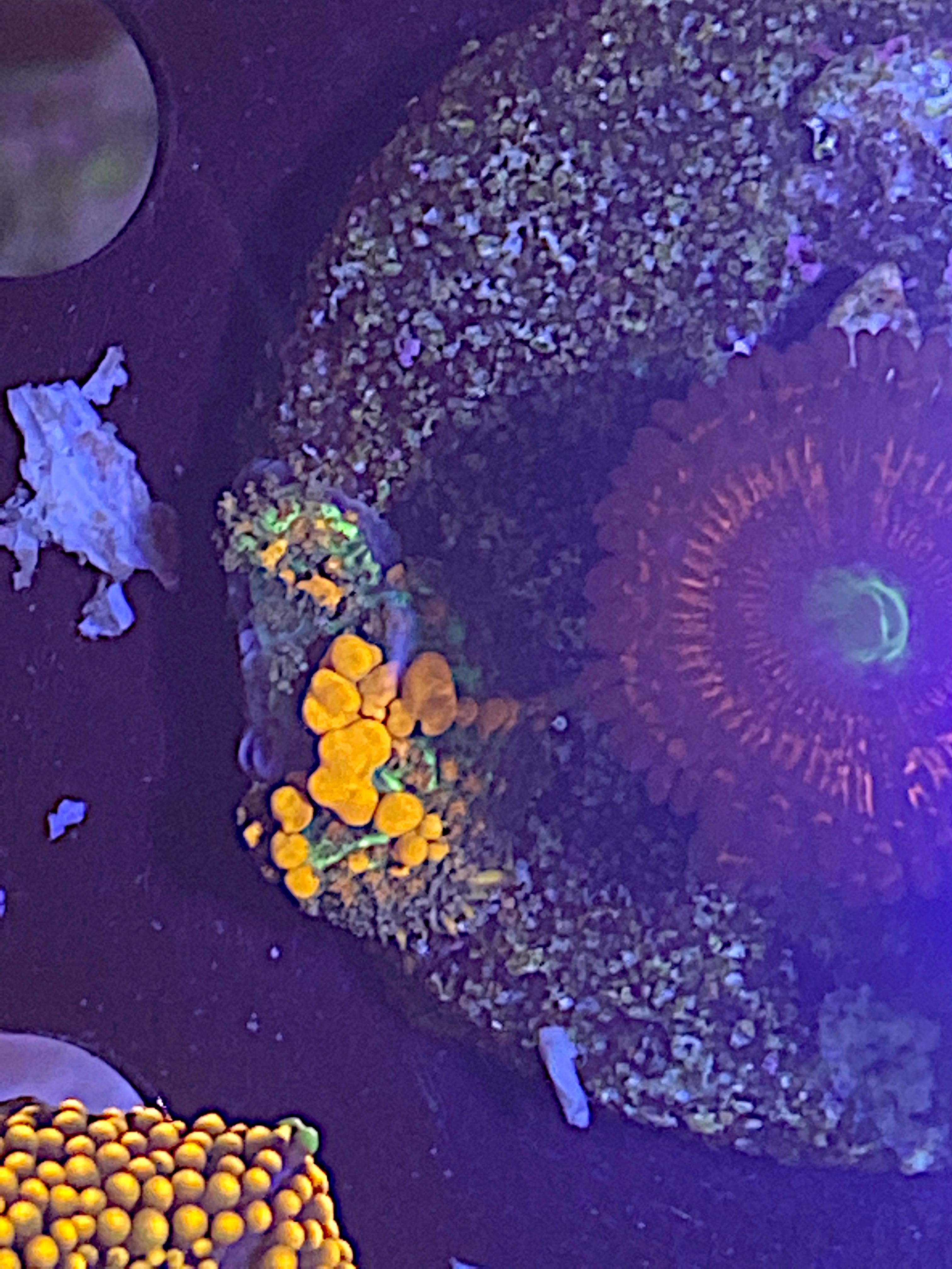 19c182d168cd61990e06594ba03b5141.plist