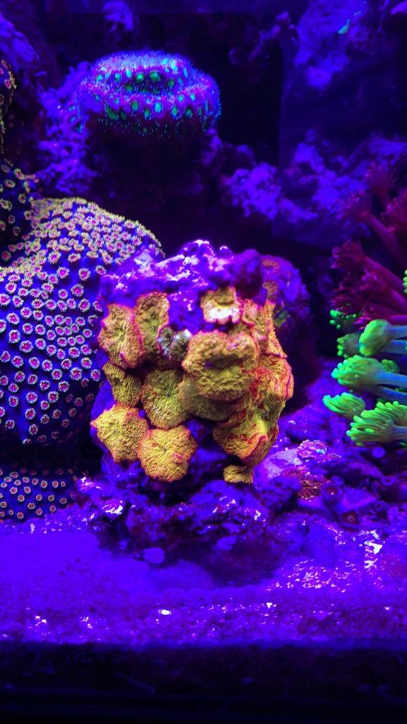 98b3aa9fc21d64ef285b48c4d19b08c4.jpg