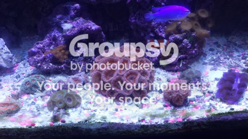 20130903_173645.jpg