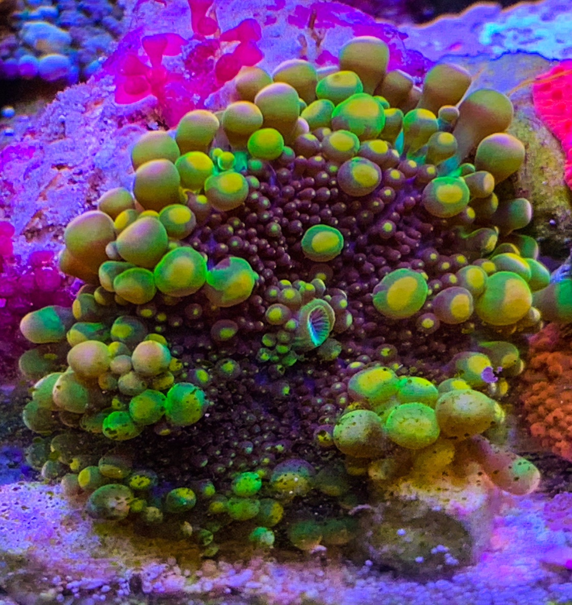a6e8aa4ee504e1e28595acf5414013aa.jpg