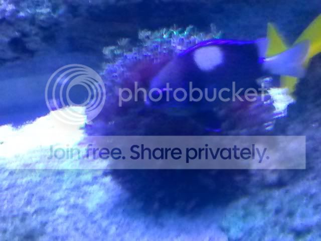 CAM01240.jpg