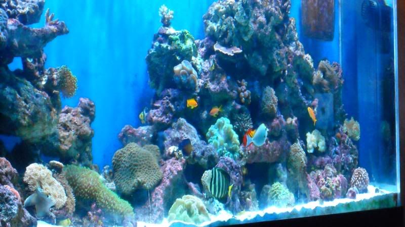 DSCN1032.jpg