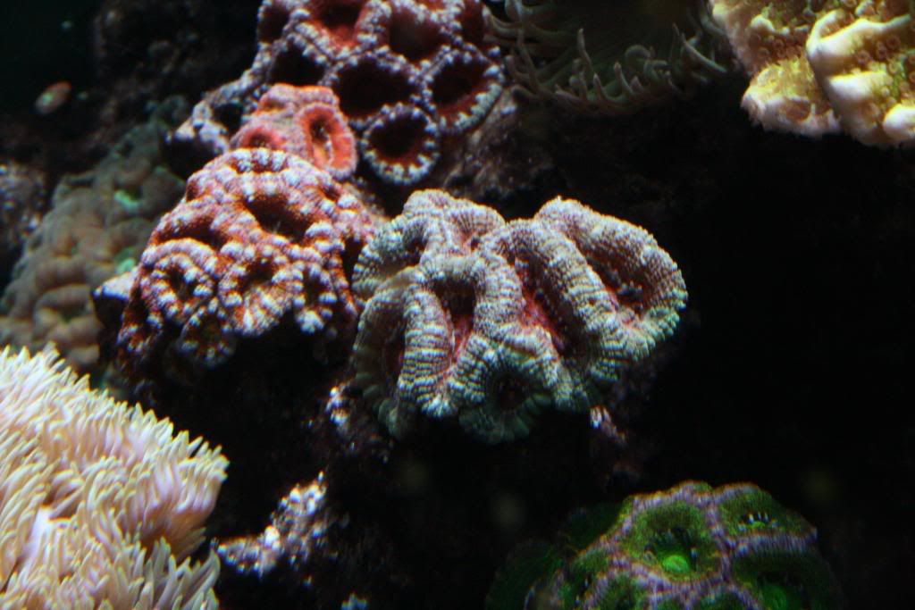IMG_3843.jpg