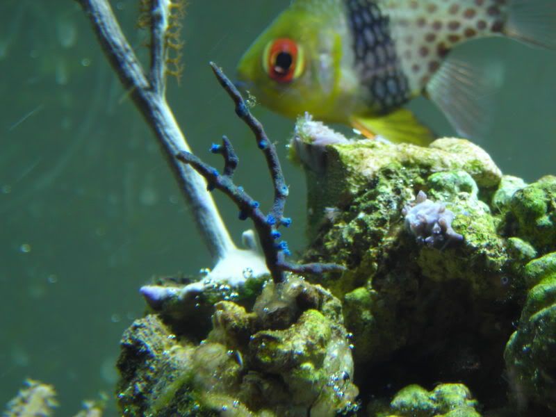 DSCN2143.jpg