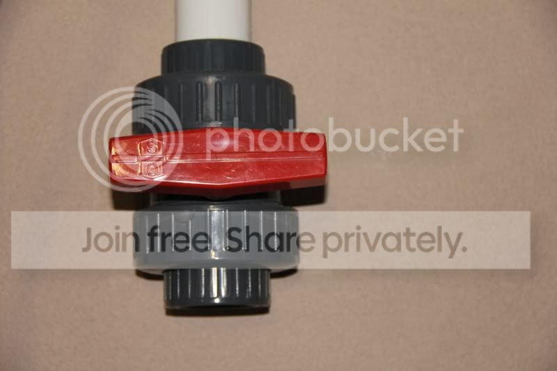 480f6955.jpg