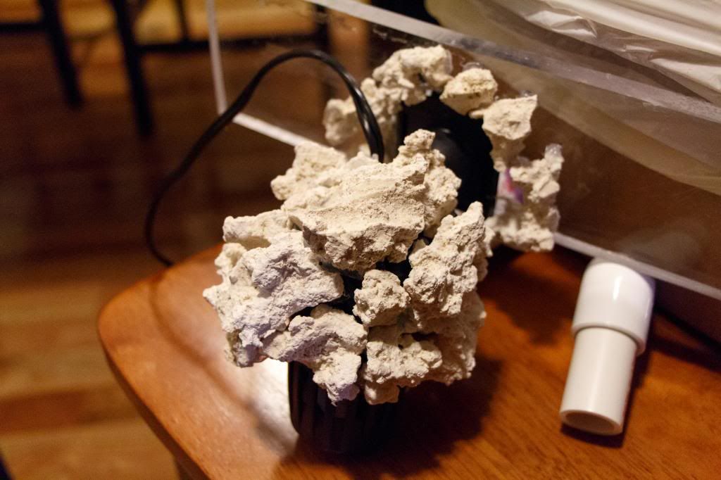 Rock-7_zps804b0e45.jpg