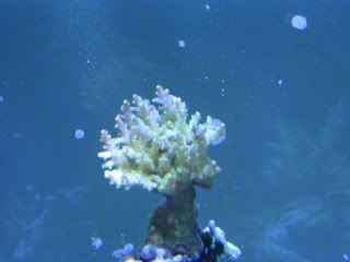 IMG_1773.jpg