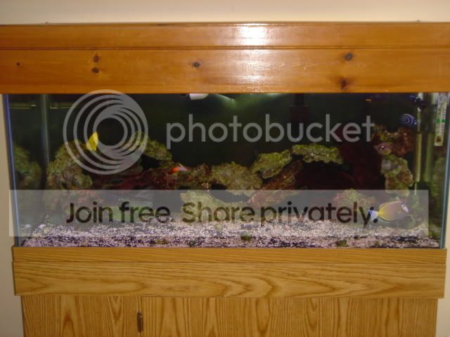 DSC03515.jpg