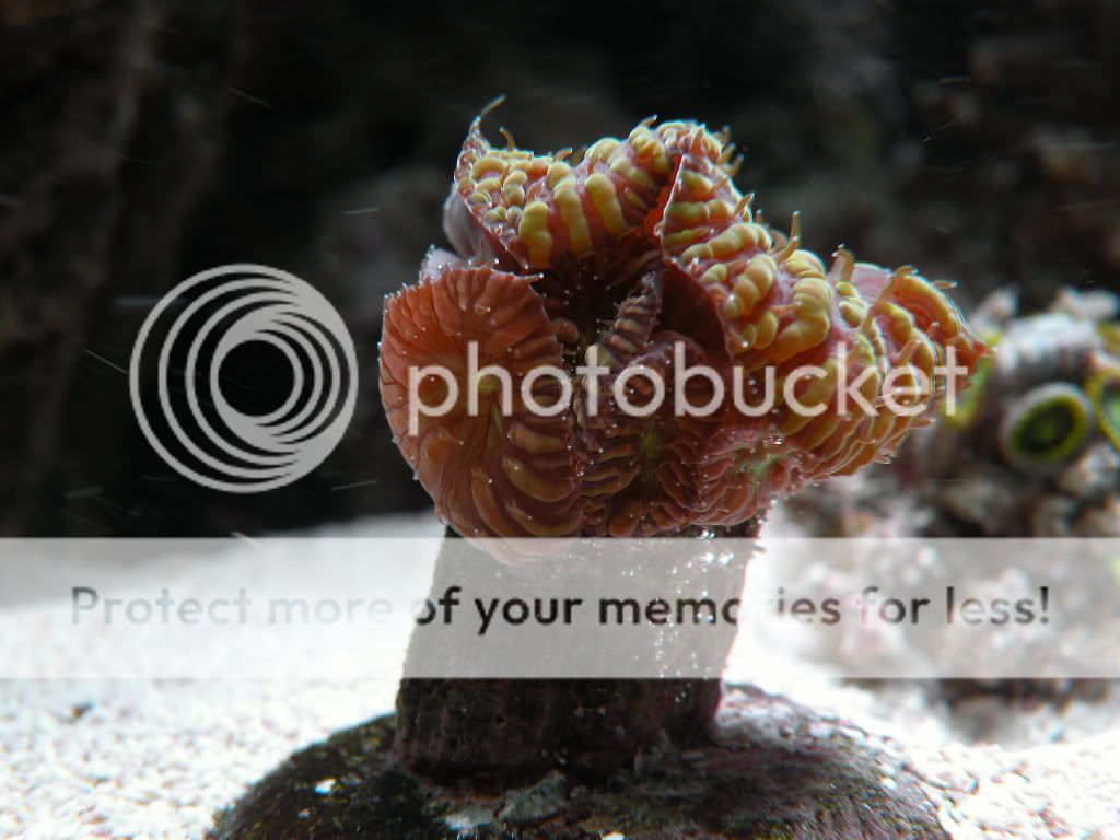 DSCN3721.jpg