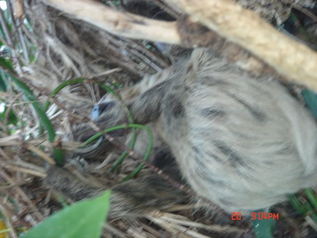 DSC01437.jpg