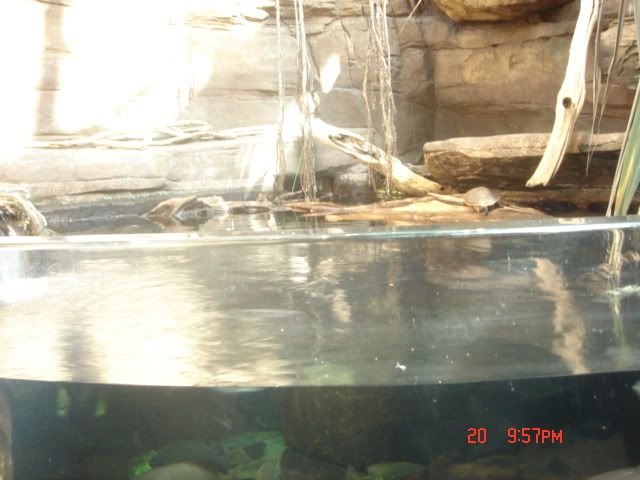 DSC01488.jpg