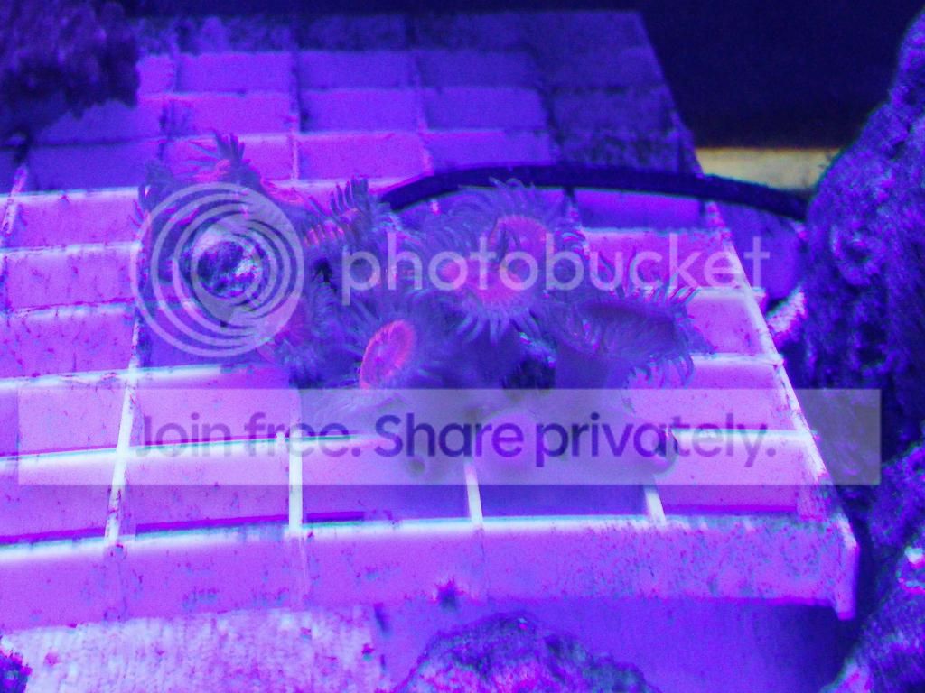 IMG_20150214_223406_zpstdfprtxq.jpg