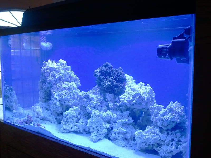 2011-03-28170521.jpg