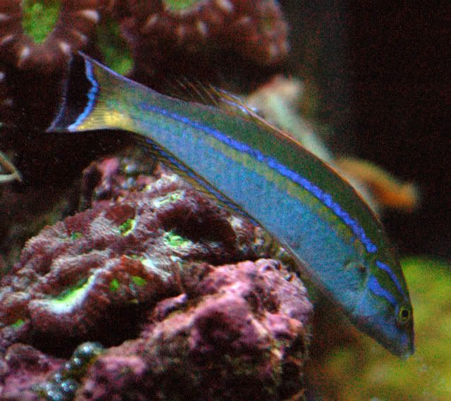 DSC_6905.jpg