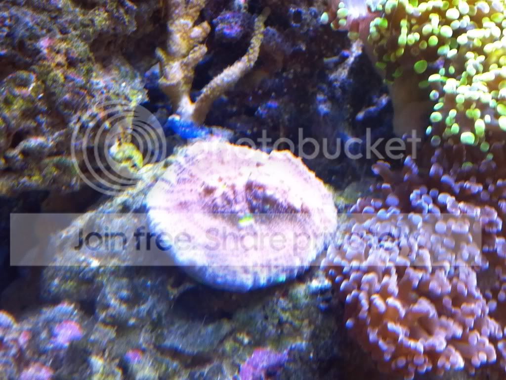 2012-01-17_13-55-52_742.jpg