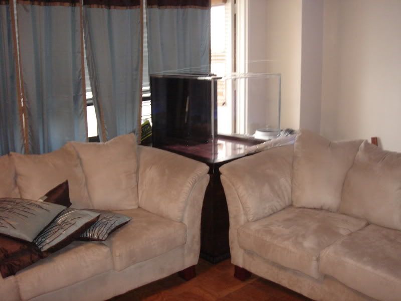 2008_0307100g-square0005.jpg