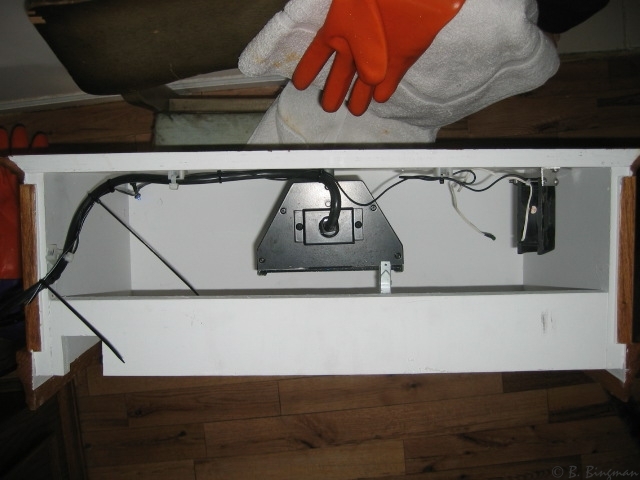 backview.jpg