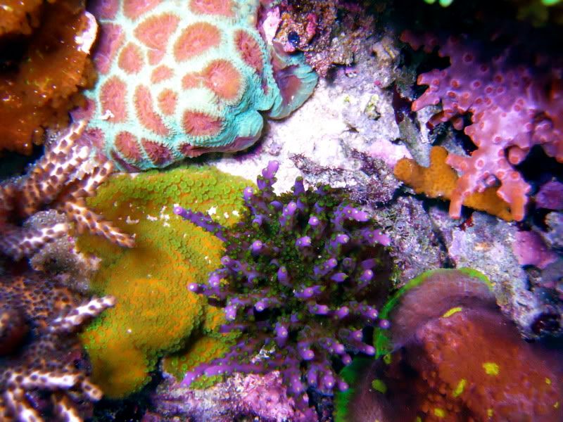 DSCN0455.jpg