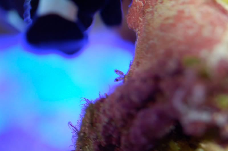 DSC_0305.jpg