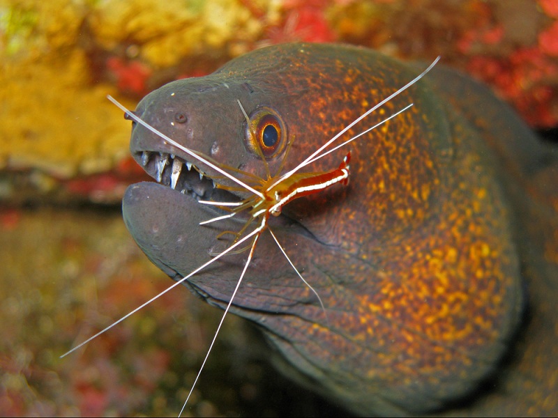 www.livescience.com