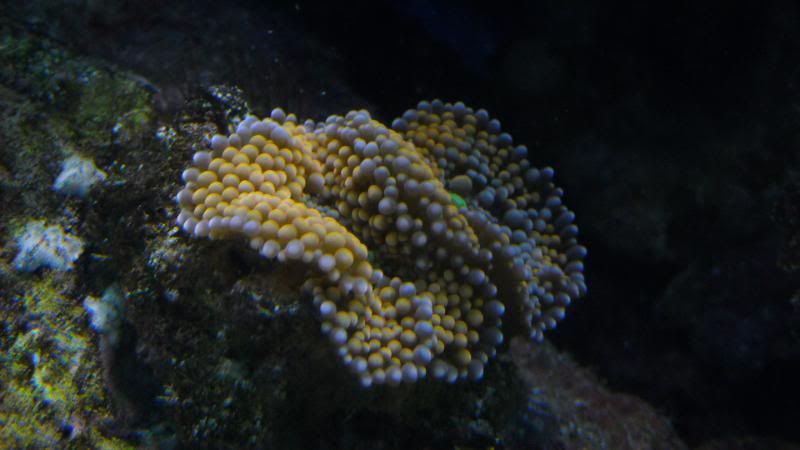DSCN1332.jpg
