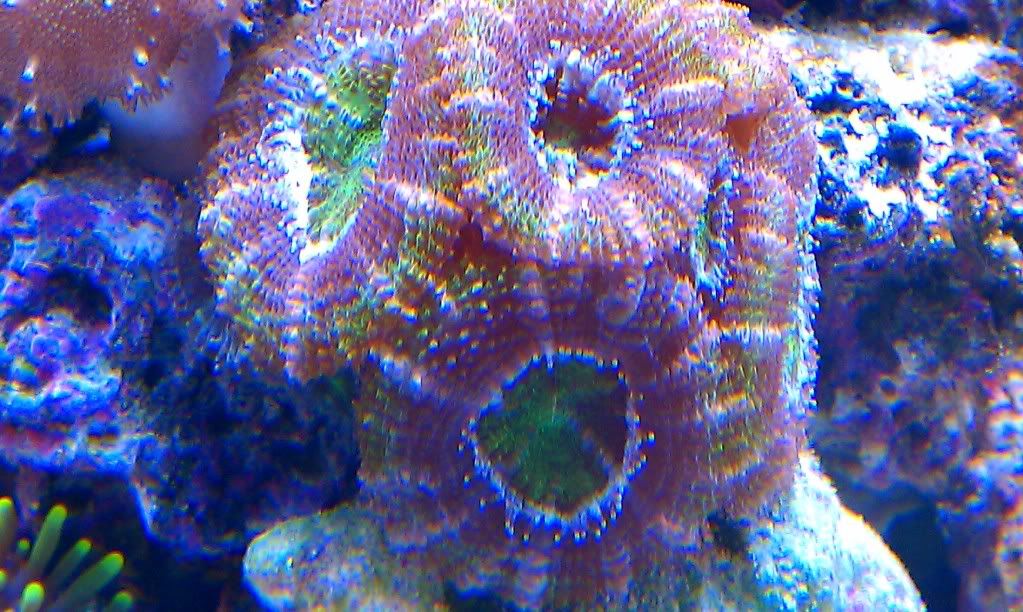 IMAG0033-2.jpg