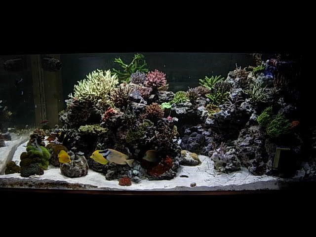 DSCN0213.jpg