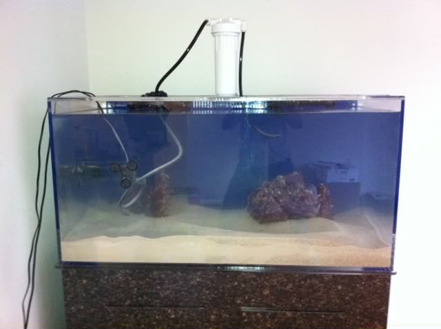 tank112611.jpg