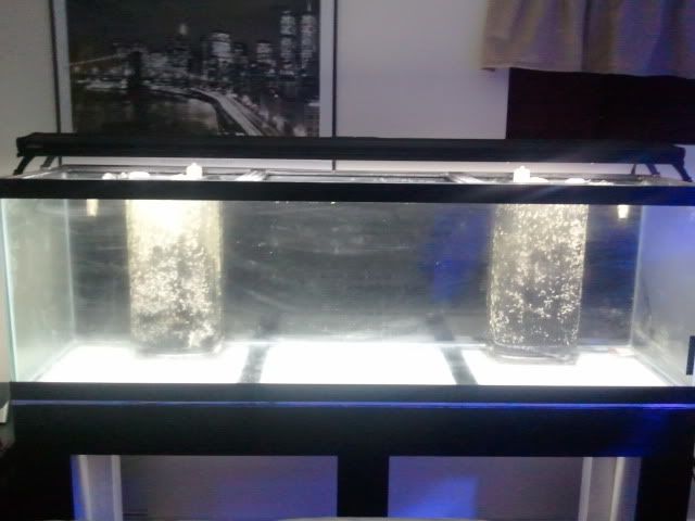 2011-05-2415_33_56.jpg