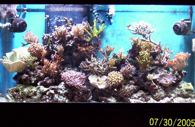 29186000_3071.jpg