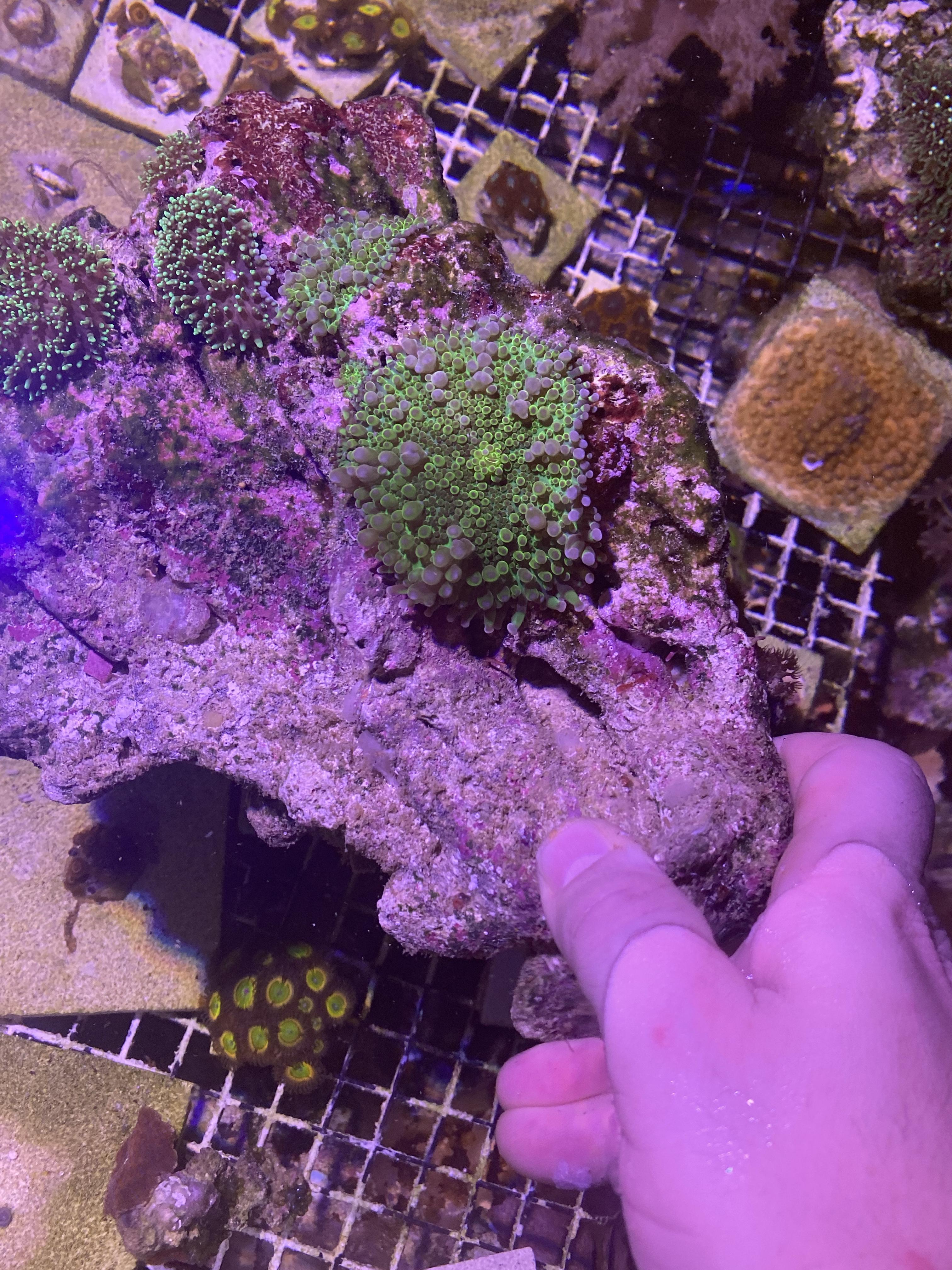 c084780e147c8a6db29e2ab816657bf3.jpg