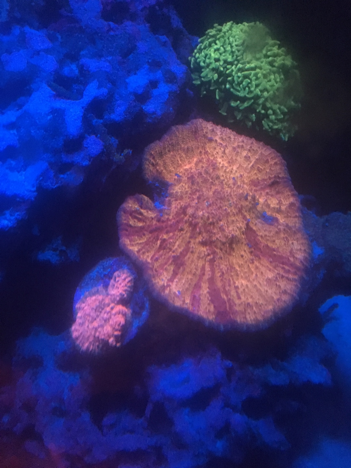 4b9b539bf0e0618e2d2d4e9fd335d9b7.jpg