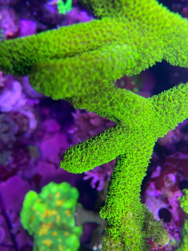 1eb76b6d952e4b14c6c19146438731f7.jpg
