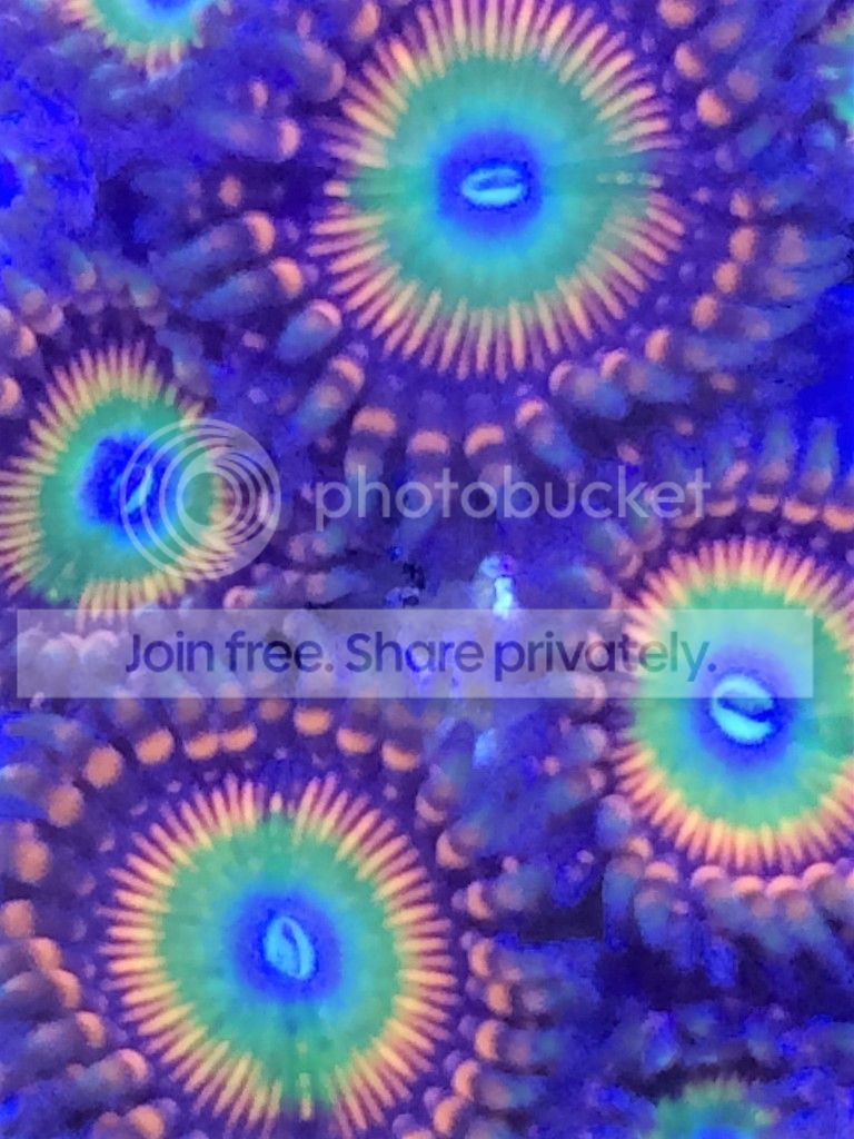 hjghjn_zpsyidk7i8y.jpg