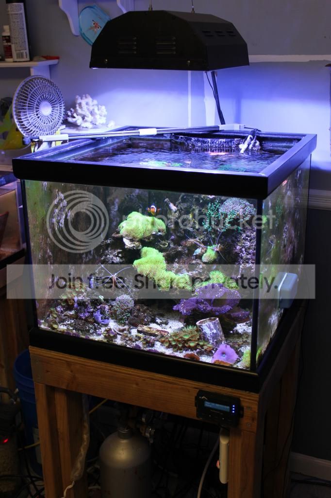 IMG_4813_zps3610dc33.jpg