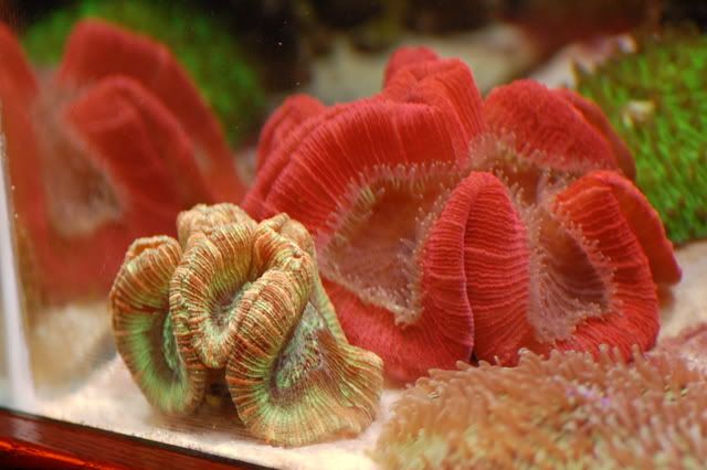 120g_038.jpg