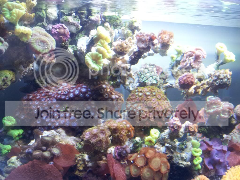 aquascape1_zps0bb124a1.jpg